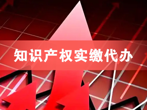 汉中知识产权实缴资本代办
